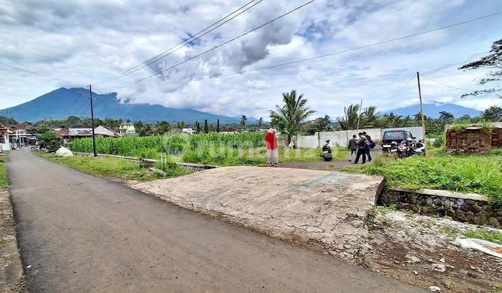 Pandanrejo Wagir Land, Malang Regency, 0 Asphalt Pandanrejo Wagir Land, Malang Regency, 0 Asphalt