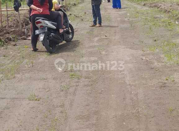 Tanah Kavling Talok Turen Kab Malang, Jawa Timur