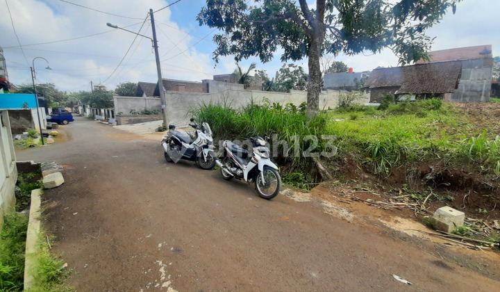 Cheap Land Tirtomoyo Pakis Malang For Quick Sale B.U Poll SHM Hook