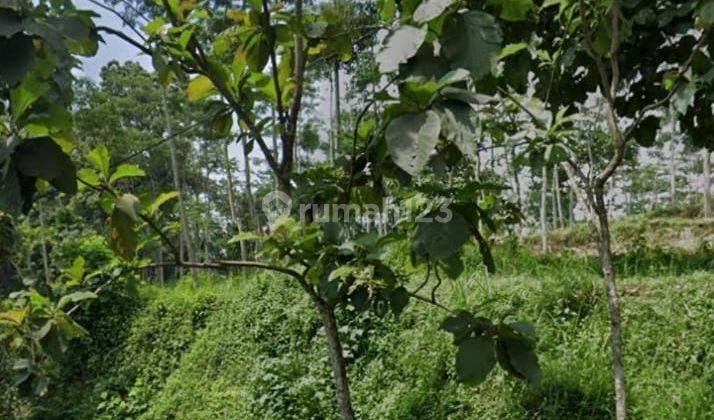 Di Jual Lahan Lokasi Dayurejo Pandaan  1