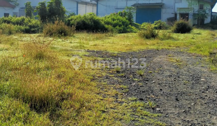 Gudang Raya Semanding Balongpanggang, Gresik sangat strategis Gudang Raya Semanding Balongpanggang, Gresik sangat strategis