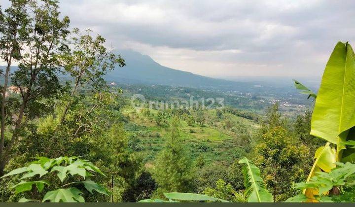 Tanah Villa Cantik di Prigen View Gunung 1