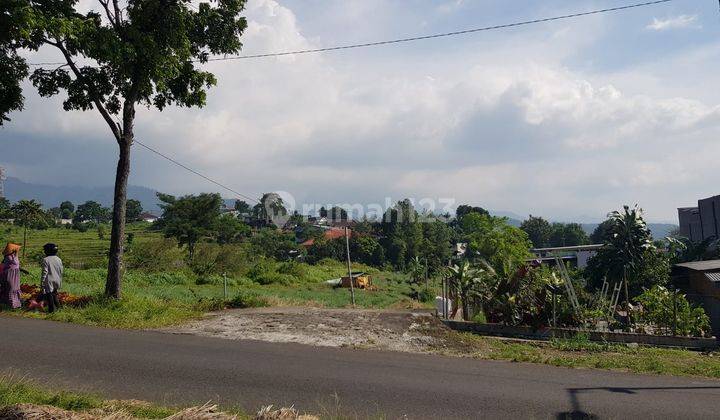 Dijual Tanah Nol Jalan Pacet Mojokerto Dekat Pasar Dan Bunderan Pacet Depan Hall Gajah Mada  1