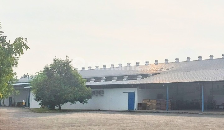 For Sale Ex Factory SHM Baron Nganjuk Steel Frame WF