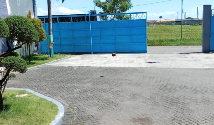 FOR SALE: MUNCAR BANYUWANGI FISH CANNING FACTORY with complete equipment