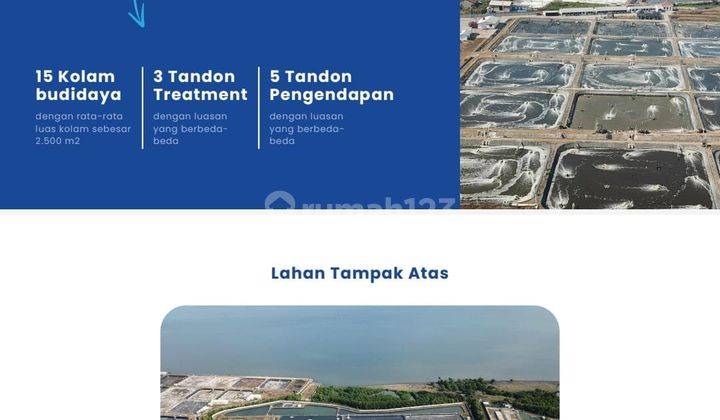 Property Apapun Itu Menjanjikan Dijual Tambak Udang Vannamei Lokasi Situbondo Luas 9,8h.a 1