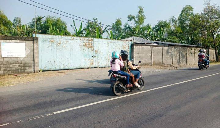DIJUAL Tanah + Gudang Lokasi Jl. Ploso - Babat 1
