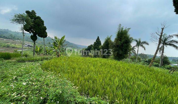 Dijual Tanah di Pacet, Lokasi Strategis 1