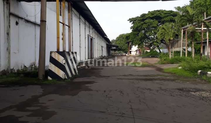 For Sale Paper Mill Kertosono Nganjuk Direct Owner