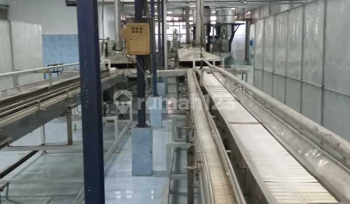 For sale sardine factory including production machinery in Muncar Banyuwangi