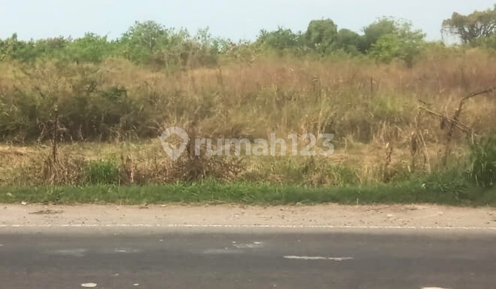 Industrial Land in Manyar Gresik  INDUSTRIAL PLOT  RAYA MANYAR, GRESIK