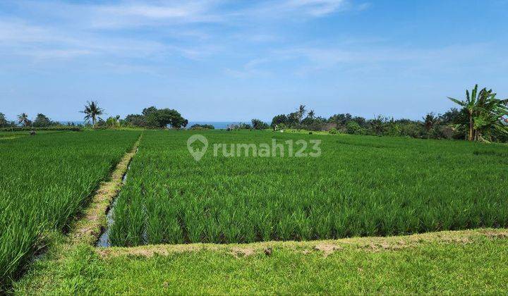 Dijual Tanah Kavling Eksklusif Dengan View Sawah Dan Laut Berlokasi di Pantai Belong Tabanan 2