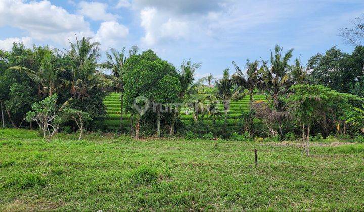 Dijual Tanah Kavling Eksklusif Dengan View Sawah Dan Laut Berlokasi di Kedungu Tabanan 1