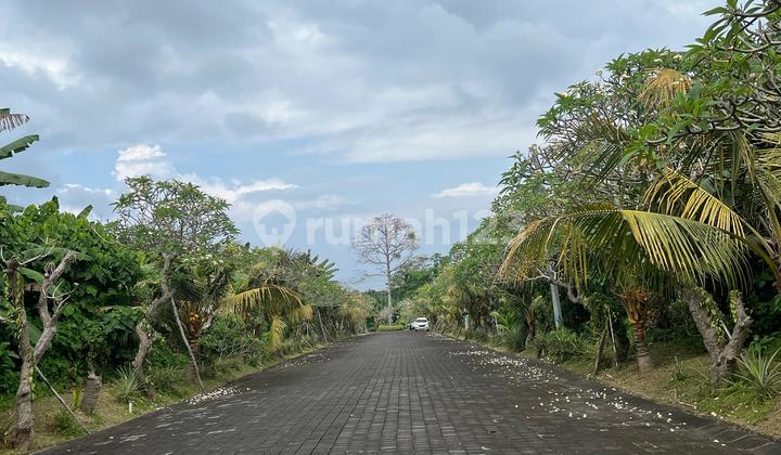 Tanah Kavling Premium Lokasi Strategis Gianyar