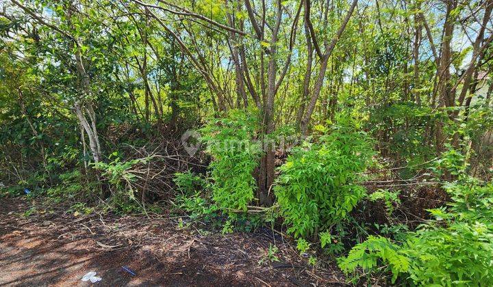 dijual tanah lokasi strategis nusa dua  2