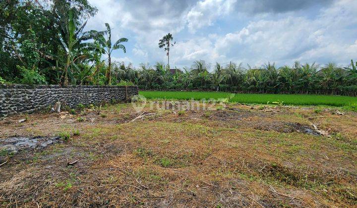 Dijual Tanah Kavling Impian di Nyitdah, Tabanan, Full View Sawah Hijau Nan Asri di Depan Dan Belakang Lahannya, Diapit Sawah Hijau. 1