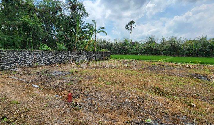 Dijual Tanah Kavling Impian di Nyitdah, Tabanan, Full View Sawah Hijau Nan Asri di Depan Dan Belakang Lahannya, Diapit Sawah Hijau. 2