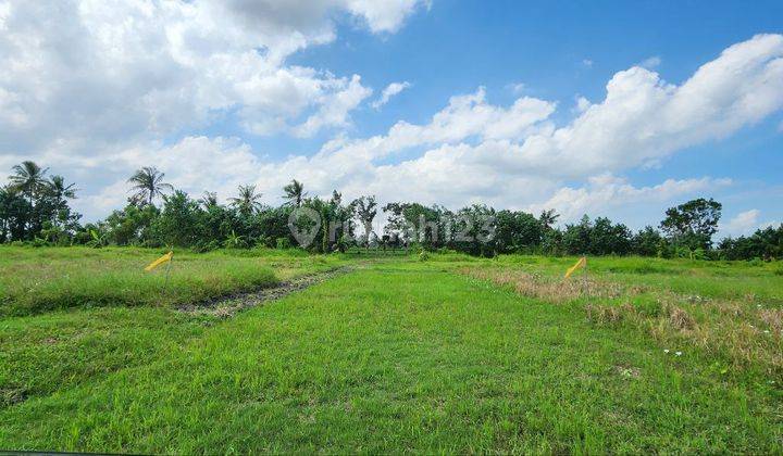 Dijual Tanah Kavling Eksklusif Dengan View Sawah Dan Laut Berlokasi di Pantai Belong Tabanan 1