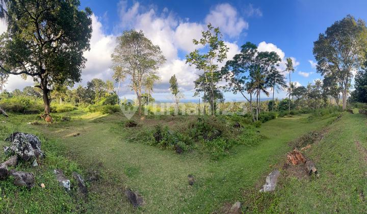 Tanah Premium View Ocean Akses Main Road Karangasem