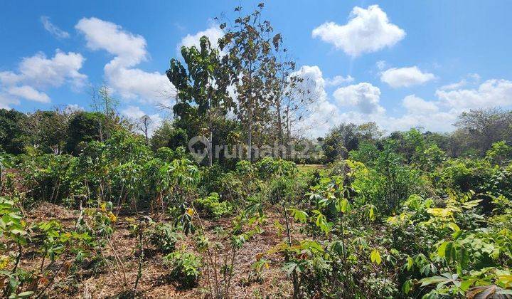 land for sale near kutuh beach nusa dua 1