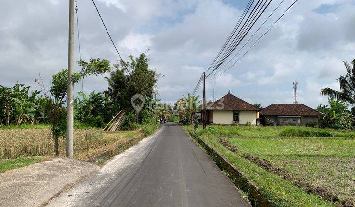 Dijual Tanah Kavling Impian di Ubud, Area Petulu, Gianyar, Full View Sawah Hijau Nan Asri. 