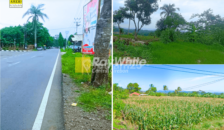 Tanah Luas 1 ha di Kawunggirang, Majalengka 1