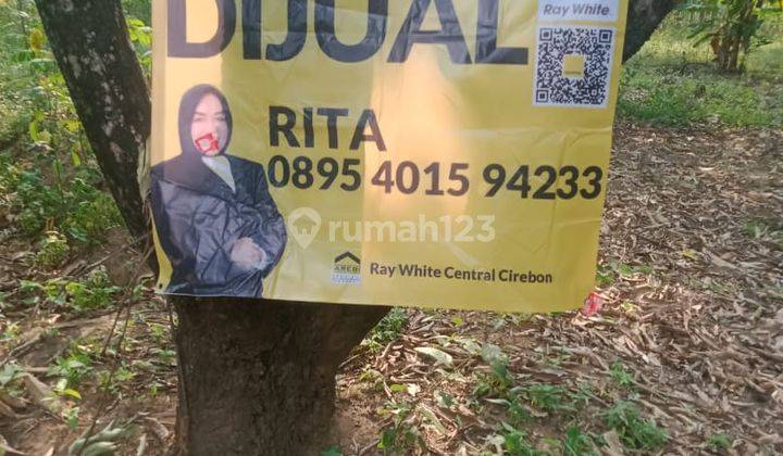 Dijual Tanah Kebun Mangga di Leuwiseeng, Majalengka 2