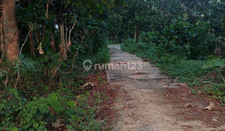 Tanah Kebun Buah di Tenjolayar, Majalengka 2