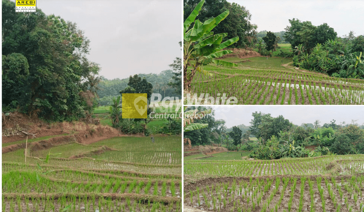 Dijual Tanah Sawah Luas di Tonjong, Majalengka 1