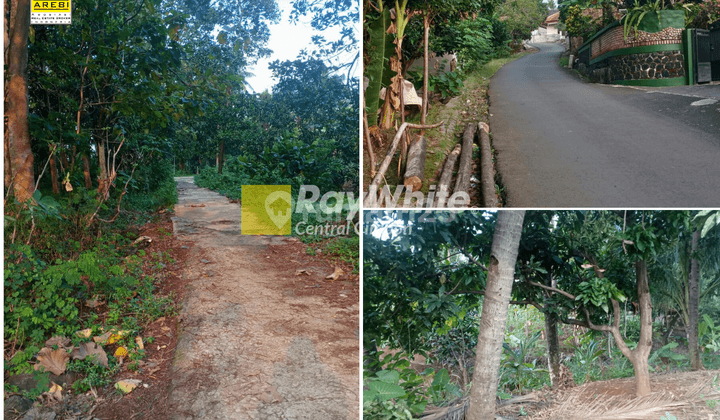 Tanah Kebun Buah di Tenjolayar, Majalengka 1