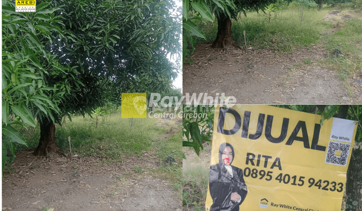 Dijual Tanah Kavling Di Cijurey Panyingkiran, Majalengka 1