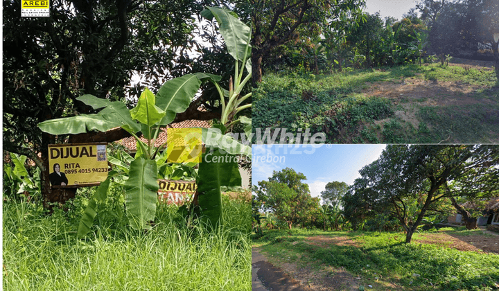 Tanah Kebun Dan Sawah di Jatipamor, Majalengka 1