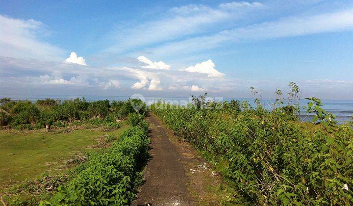 Tanah Hak Milik 3600m2 60m Dari Pantai Dengan Pemandangan Laut .10 Menit Dari Canggu 2