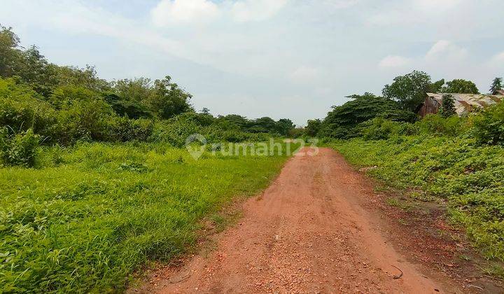 Tanah Kosong di Wilayah Industri Jatiwangi, Majalengka 1