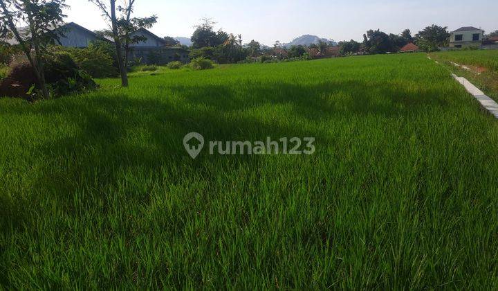 Tanah 2.529 m² di Dukupuntang, Cirebon 1