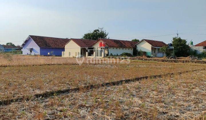 Tanah Sawah di Tegal Aren Ligung, Majalengka 2