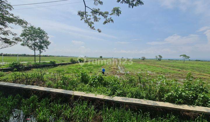 Tanah 20.345 m² Cocok Untuk Pabrik Gudang di Jl. Raya Pantura, Cirebon 2