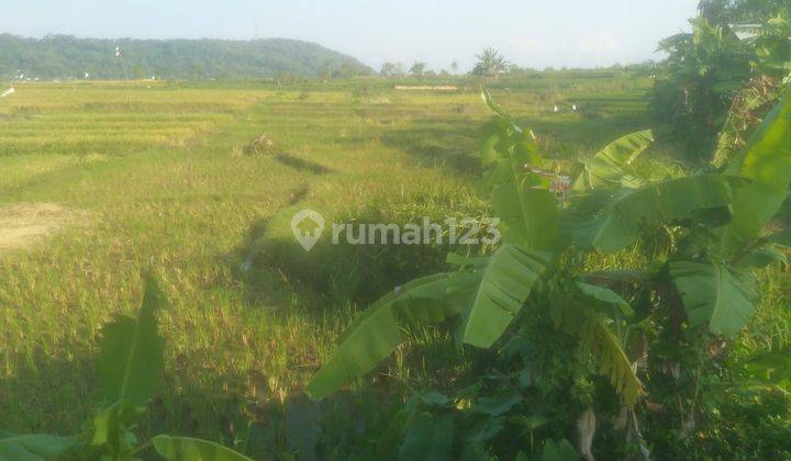 Tanah Sawah 2.057 m² di Jalaksana, Kuningan 2