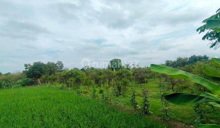 Tanah Kebun Jeruk 6.916 m² di Ligung, Majalengka 1