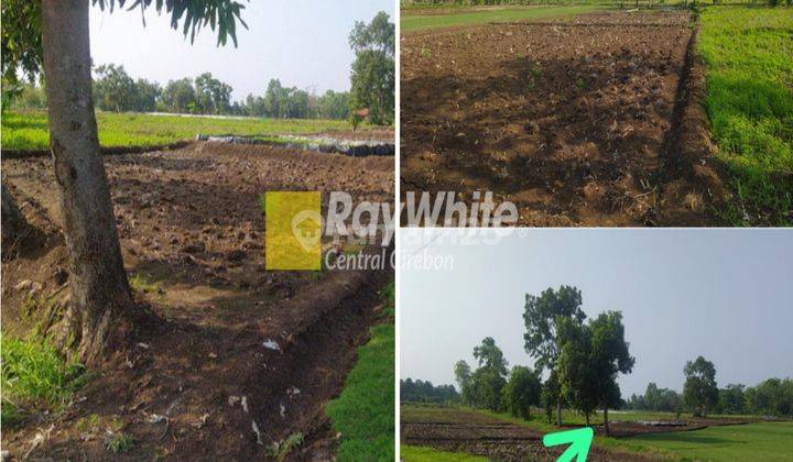 Dijual Tanah di Sukamulya Kertajati Majalengka 1