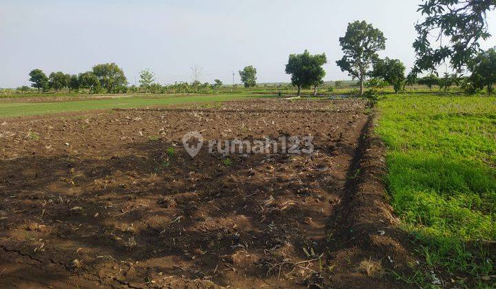 Dijual Tanah di Sukamulya Kertajati Majalengka 2