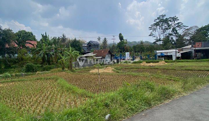 Dijual Tanah Strategis Di Pasar Maja (Area Comersil)  2