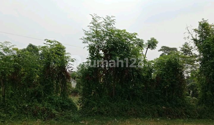 Dijual Tanah 5000m Utk Investasi