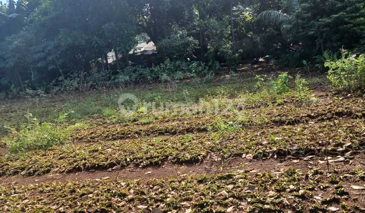 Disewakan Lahan Kosong Dengan Harga Sangat Murah di Padurenan, Mustika Jaya. Bekasi 2