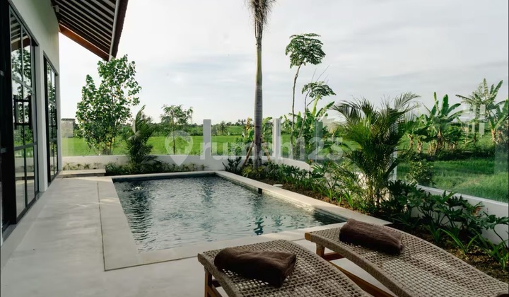 VILLA 2 BEDROOMS WITH RICE FIELD VIEW VILLA 2 BEDROOMS WITH RICE FIELD VIEW
