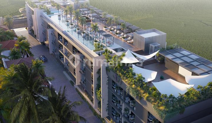 Leasehold 1 Bedroom Apartment In Cemagi With Rice Field View Leasehold 1 Bedroom Apartment In Cemagi With Rice Field View