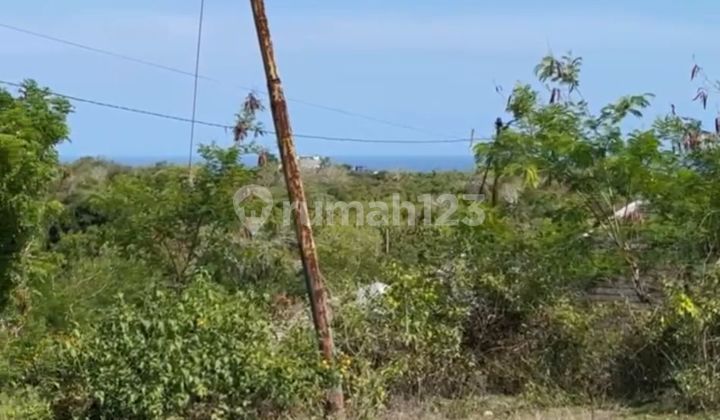 LAND FOR SALE UNBLOCK OCEAN VIEW PANDAWA BEACH LAND FOR SALE UNBLOCK OCEAN VIEW PANDAWA BEACH