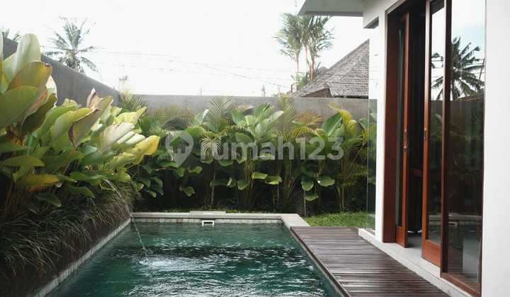 UBUD VILLA 1 BR 