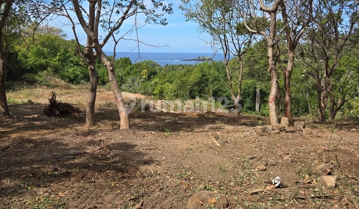 Virgin beachfront land with sea views