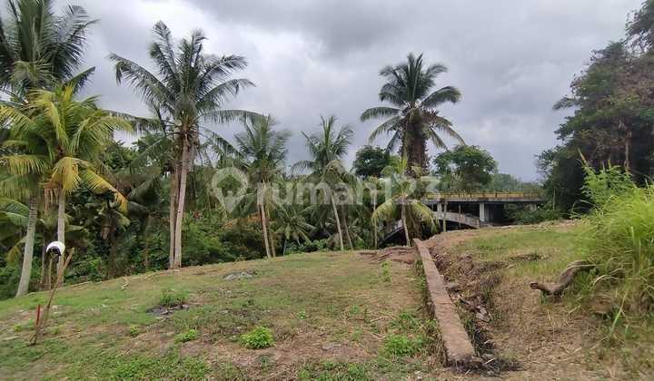 Riverside Land in Gianyar, Good for Investment
